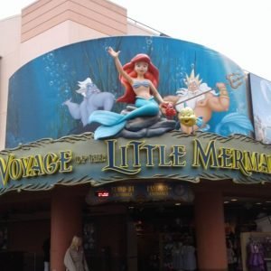 Voyage Of The Little Mermaid