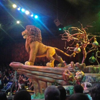Festival of the Lion King - Simba Festival of the Lion King - Simba