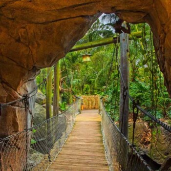 Oasis Exhibits Oasis Exhibits